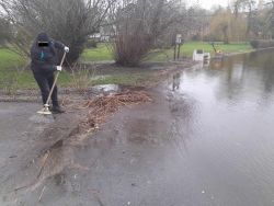 porządki gminne sprzątanie trzcin zalanej ścieżki nad jeziorem